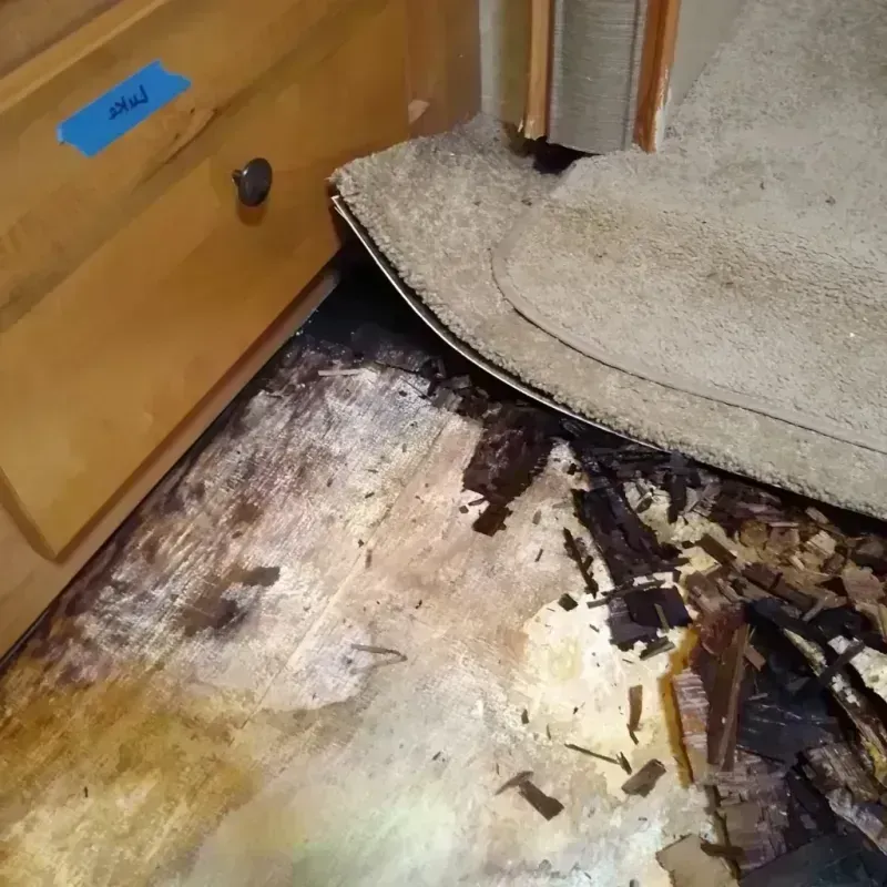 Wood Floor Water Damage in Alexander City, AL